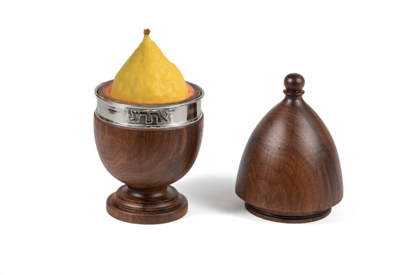 תמונה-ראשית-4