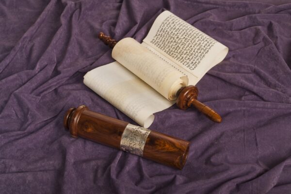 תמונה-ראשית-800x533-2