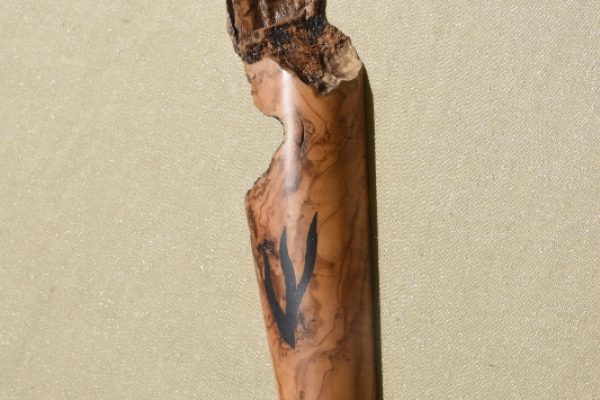 C181-פרופיל-533x800-1