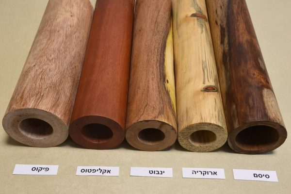 FB_IMG_1672518431363