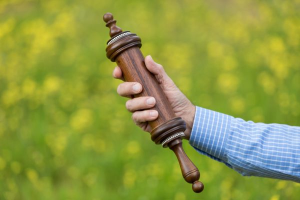 מגילה-מיני-550