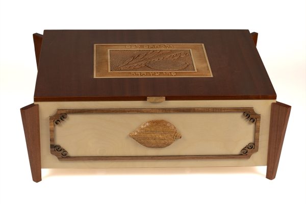 תמונה-ראשית-1