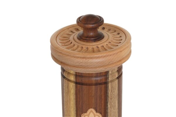 תמונה-ראשית-דגם-540